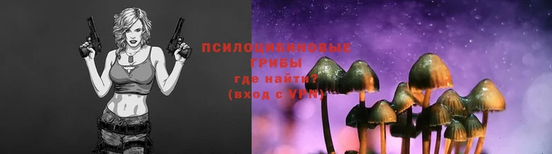 Галлюциногенные грибы Psilocybine cubensis  blacksprut онион  Златоуст 